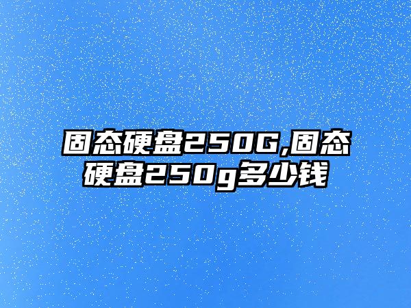 固態硬盤250G,固態硬盤250g多少錢