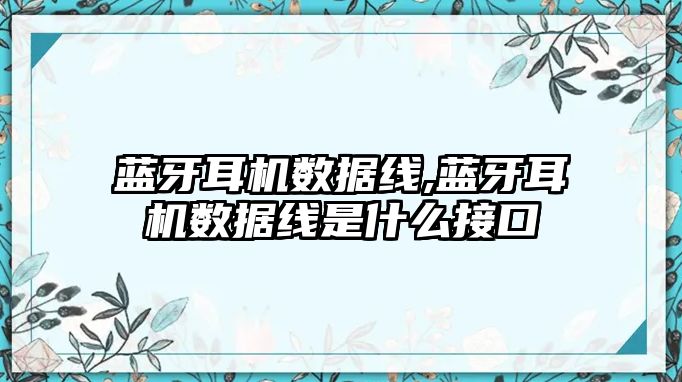 藍牙耳機數據線,藍牙耳機數據線是什么接口