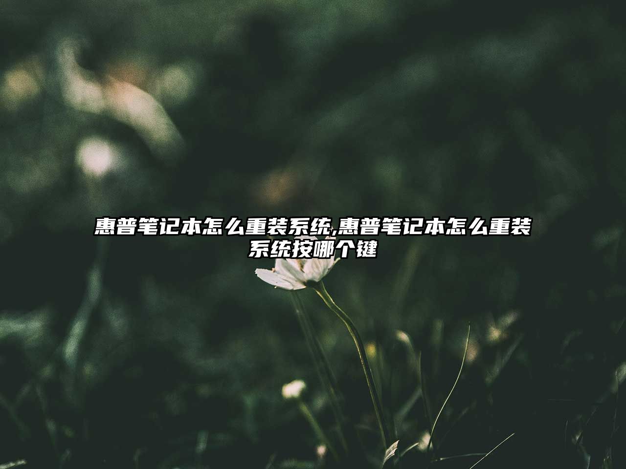 惠普筆記本怎么重裝系統(tǒng),惠普筆記本怎么重裝系統(tǒng)按哪個鍵