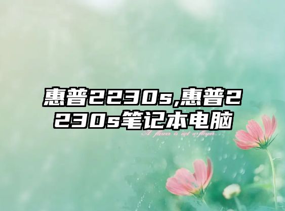 惠普2230s,惠普2230s筆記本電腦