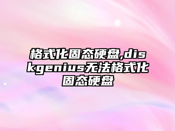 格式化固態硬盤,diskgenius無法格式化固態硬盤