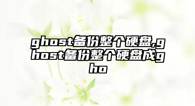 ghost備份整個(gè)硬盤,ghost備份整個(gè)硬盤成gho