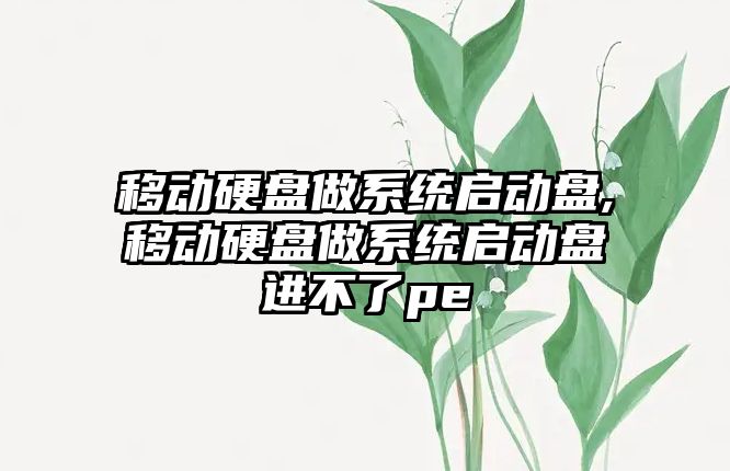 移動硬盤做系統啟動盤,移動硬盤做系統啟動盤進不了pe