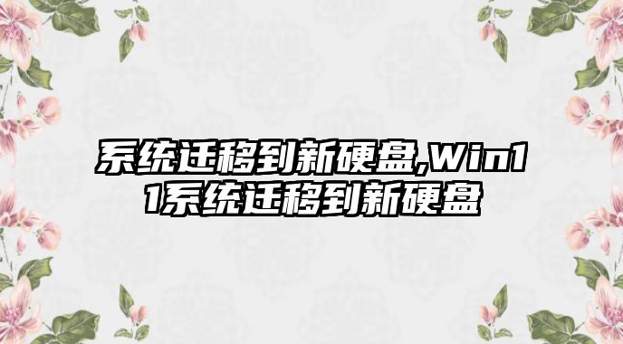 系統遷移到新硬盤,Win11系統遷移到新硬盤