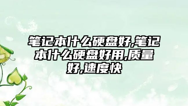 筆記本什么硬盤好,筆記本什么硬盤好用,質量好,速度快