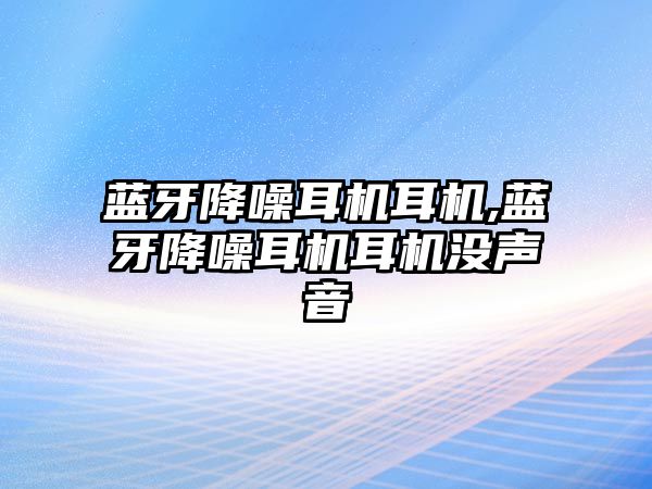 藍牙降噪耳機耳機,藍牙降噪耳機耳機沒聲音