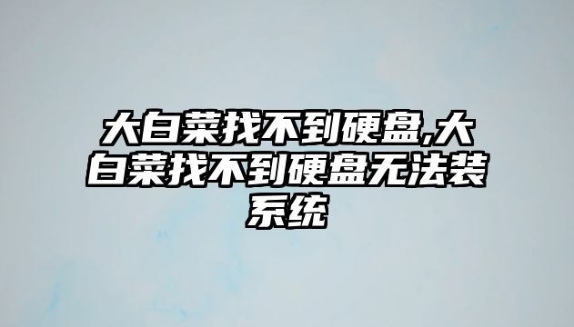 大白菜找不到硬盤,大白菜找不到硬盤無法裝系統